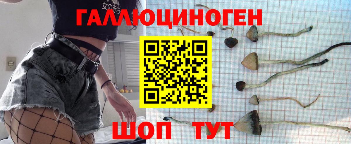 Иваново  Галлюциногенные грибы Psilocybine cubensis  Вход с VPN 